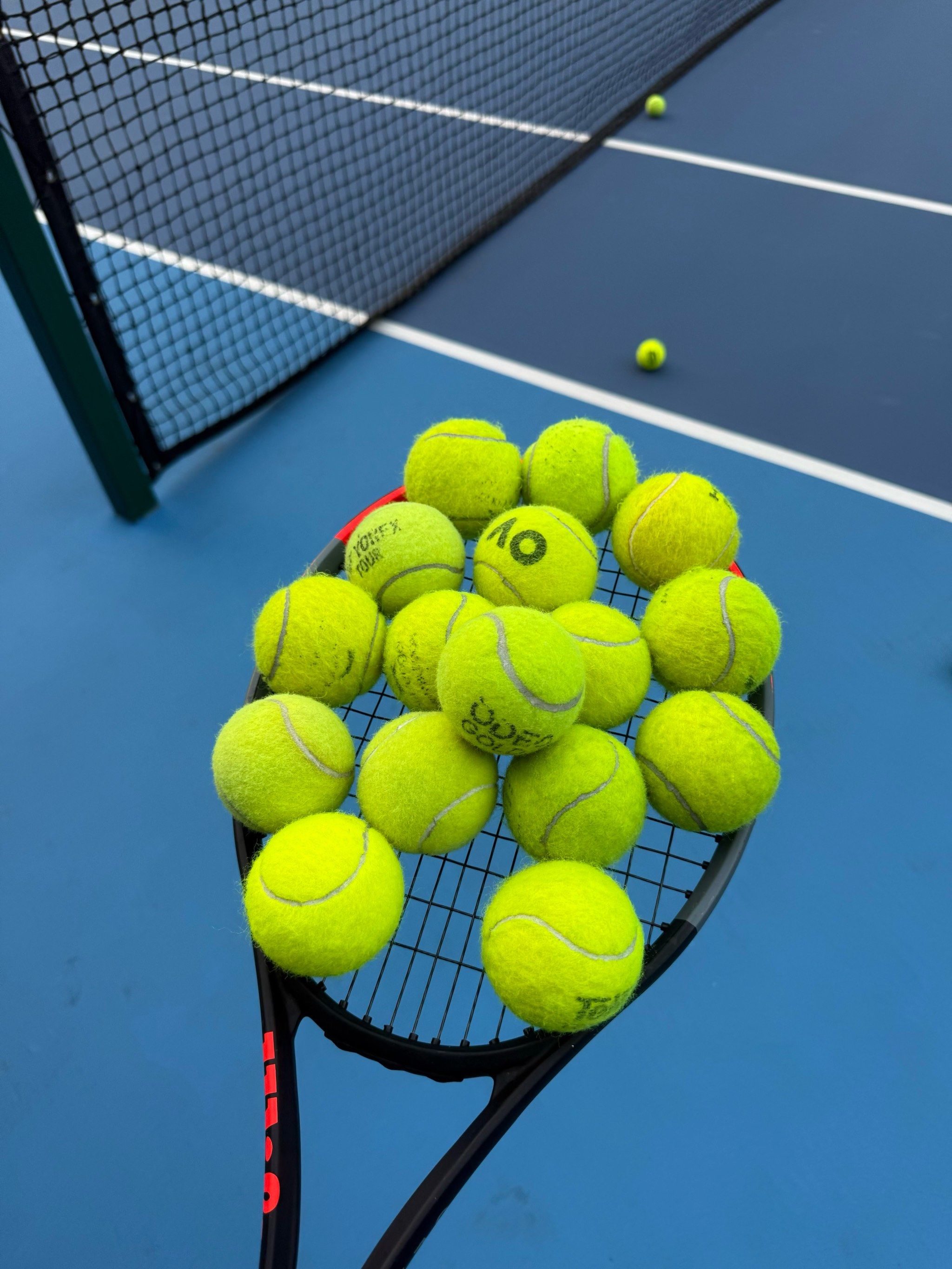 他都需要不 他都需要不